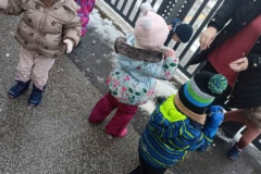 Rožice v januarju